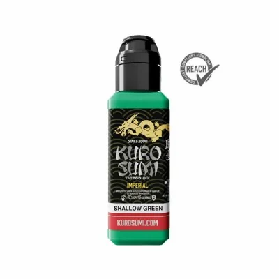 Encre Kuro Sumi Shallow Green - Vert - 22ml