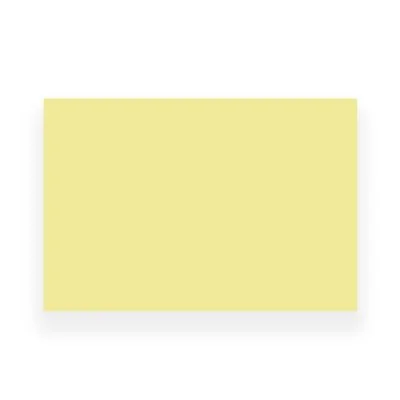 Peau entrainement XL Skintrain - 30x20cm 